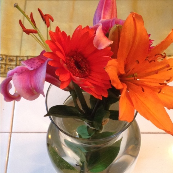 Meet your Posher, Christine - Picture 1 of 1